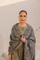 DZP-07 3PC DHANAK PRINTED